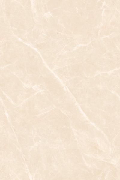 EVOLIC BROWN_R3