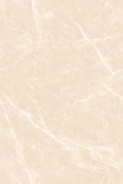 EVOLIC BROWN_R2