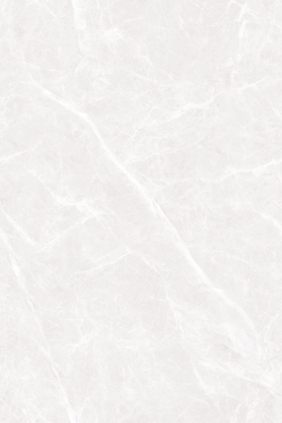 EVOLIC SILVER_R3