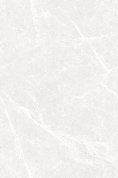 EVOLIC SILVER_R2