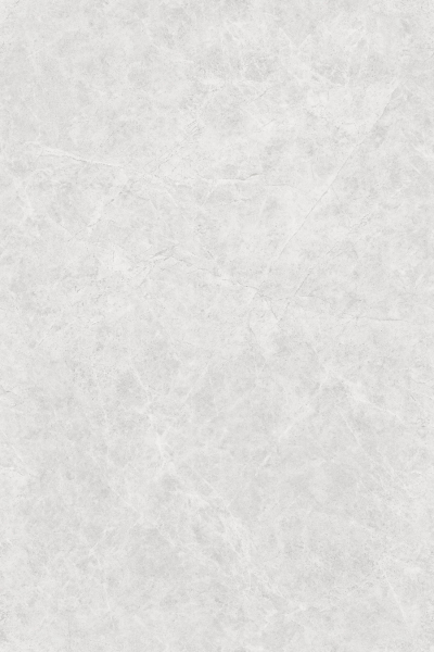 PALENCIA SILVER_R3