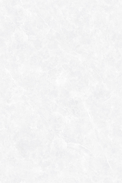 REDON SILVER_R2