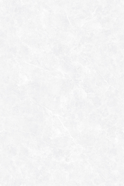 REDON SILVER_R3