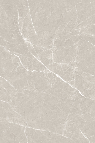 ANIMA LATTE R2