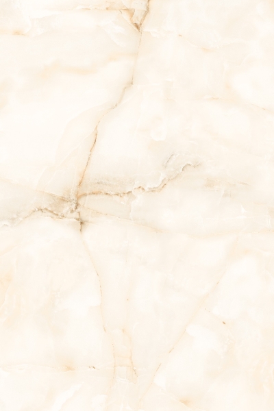 ONICO IVORY_R2