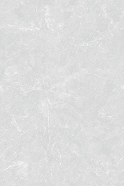BELGIAN GREY-R2